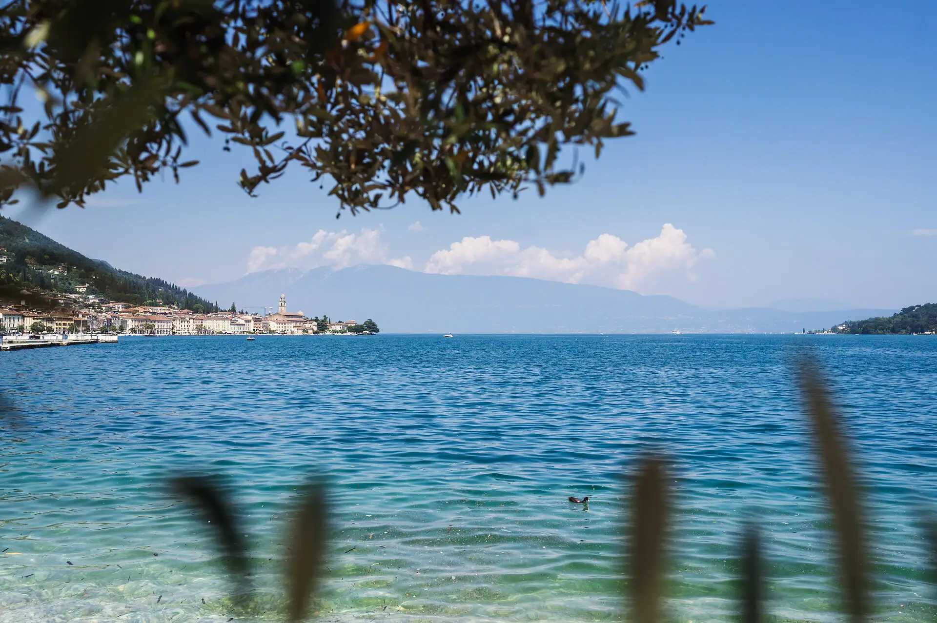 Stand am Gardasee Gewässer mit Gebäuden im Hintergrund.