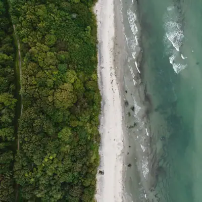 Strand mit Bäumen und Wasser im Hintergrund.