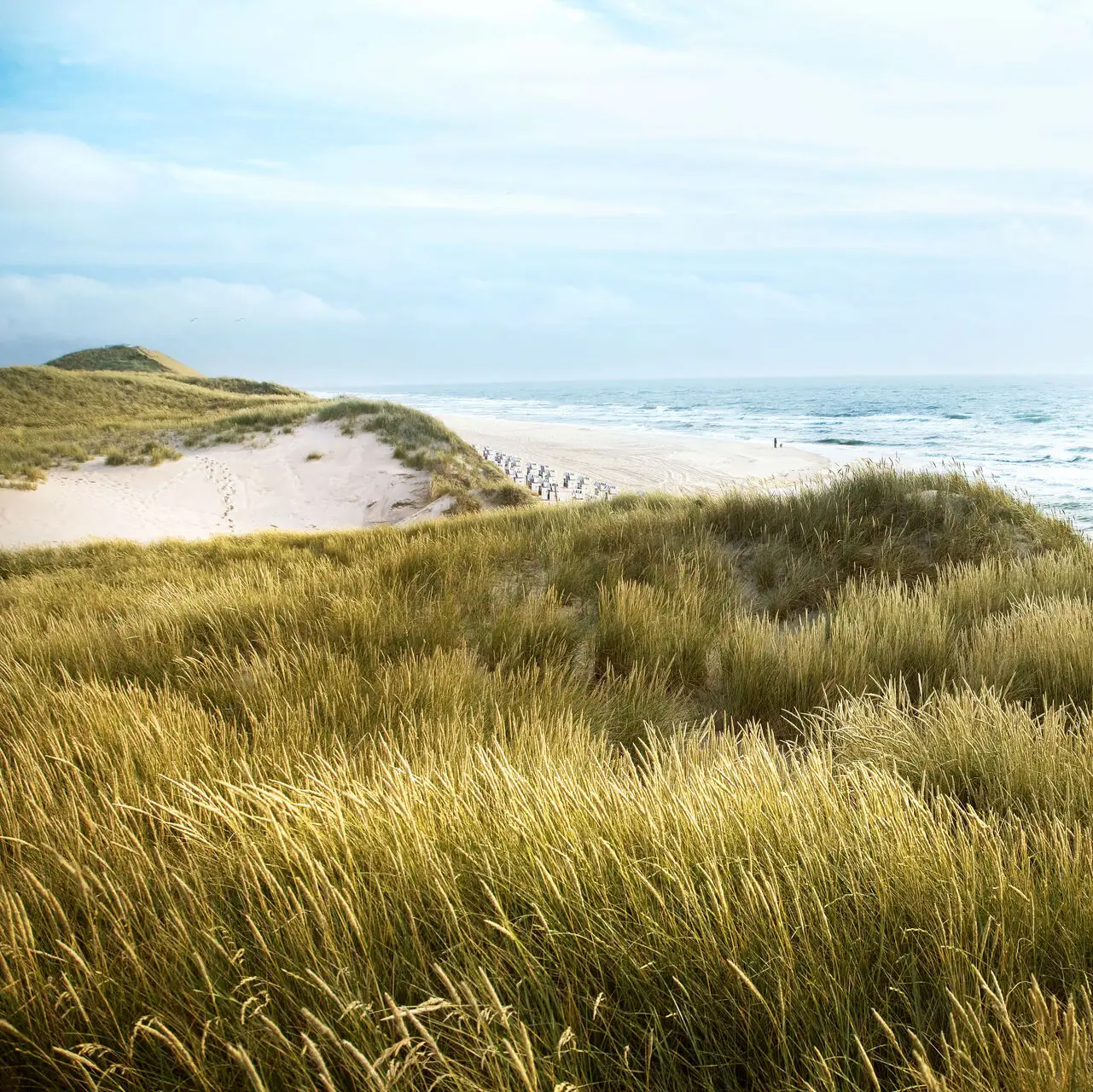 Grüne Hügel mit Sanddünen und einem Strand im Vordergrund.