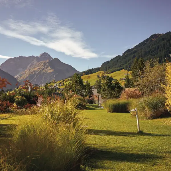 Grüne Wiese mit Bäumen und Bergen im Hintergrund