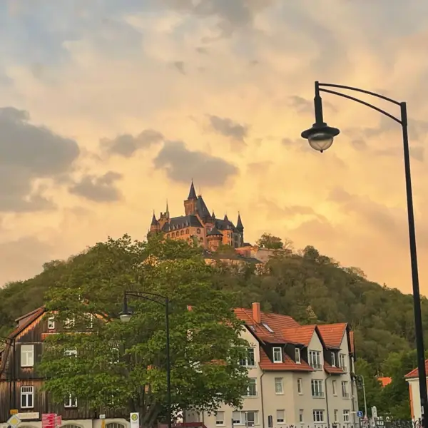 Ein Gebäude auf einem Hügel mit Bäumen im Hintergrund.