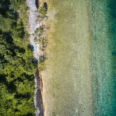 Ein Gewässer mit Bäumen.