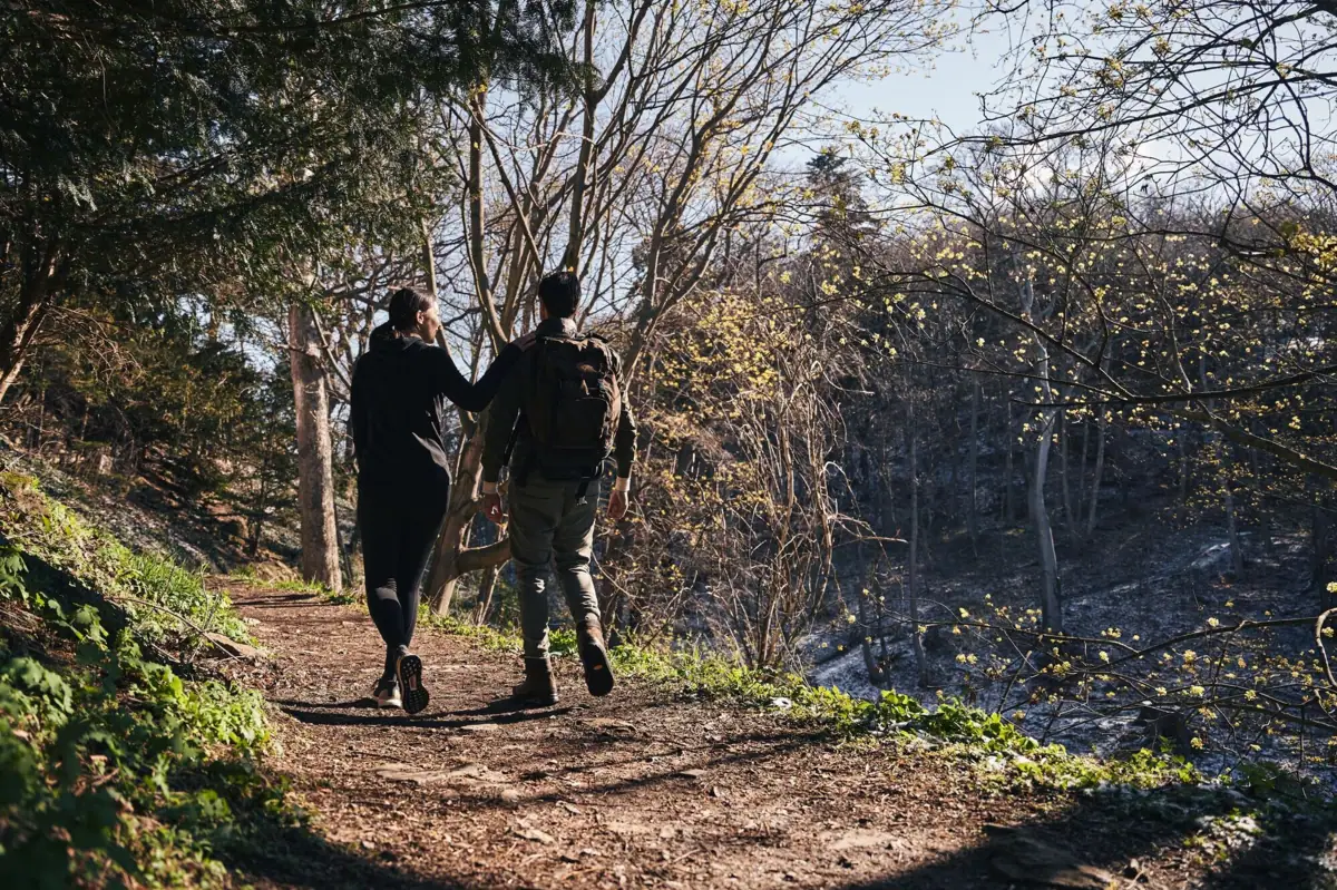 Wandern im Harz Ein Paar geht auf einem Waldweg spazieren.