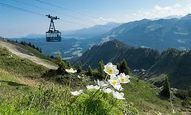 Seilbahn mit Blumen und Bergen im Hintergrund
