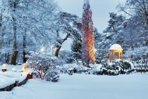 Außenbereich im Winter Ein verschneiter Park mit einem Pavillon und Bäumen.