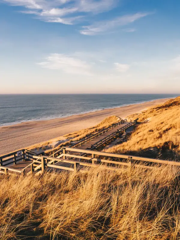 Ein Holzsteg führt zu einem Strand.