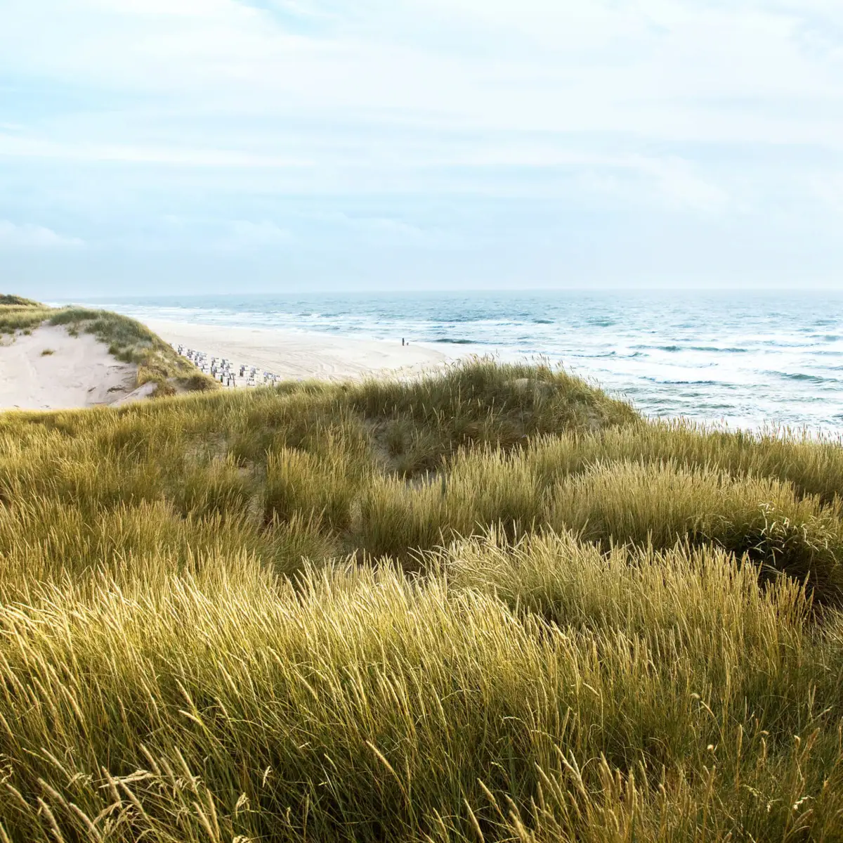 Grüne Hügel mit Sanddünen und Strand im Vordergrund.