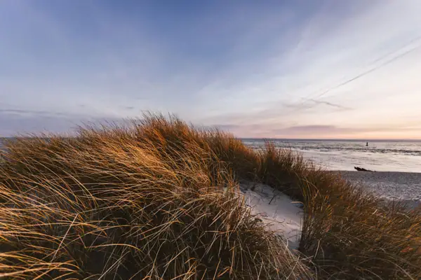 Düne Gras am Strand unter bewölktem Himmel