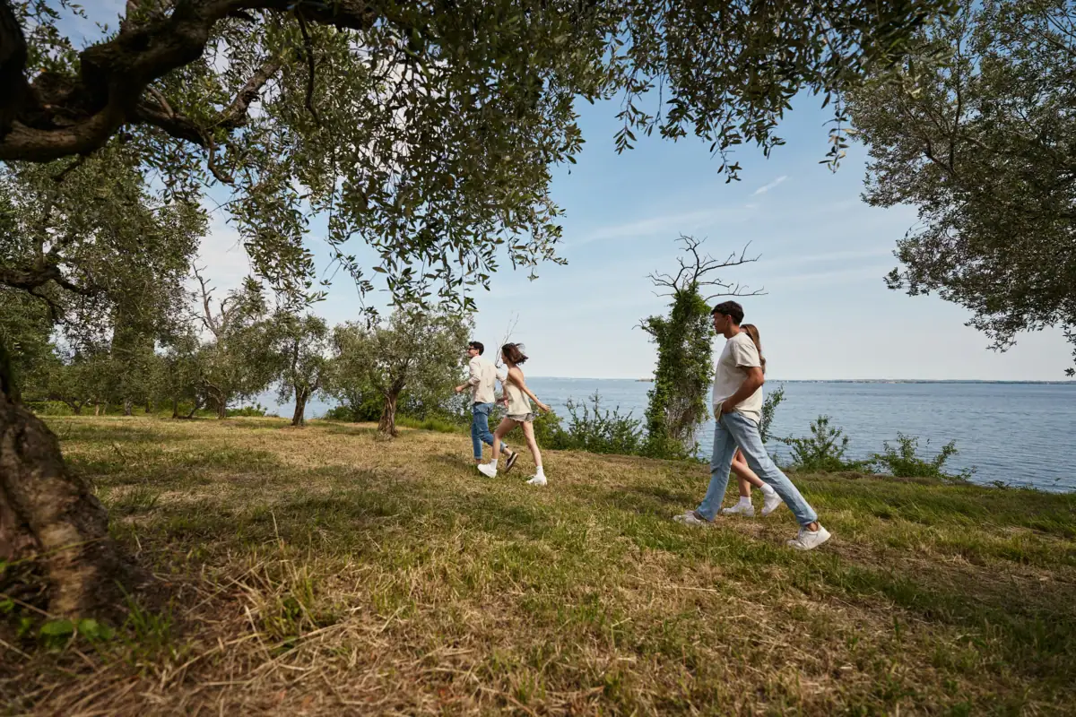 Ausflugstipp am Gardasee Menschen spazieren am Gardasee durch die Olivenhaine