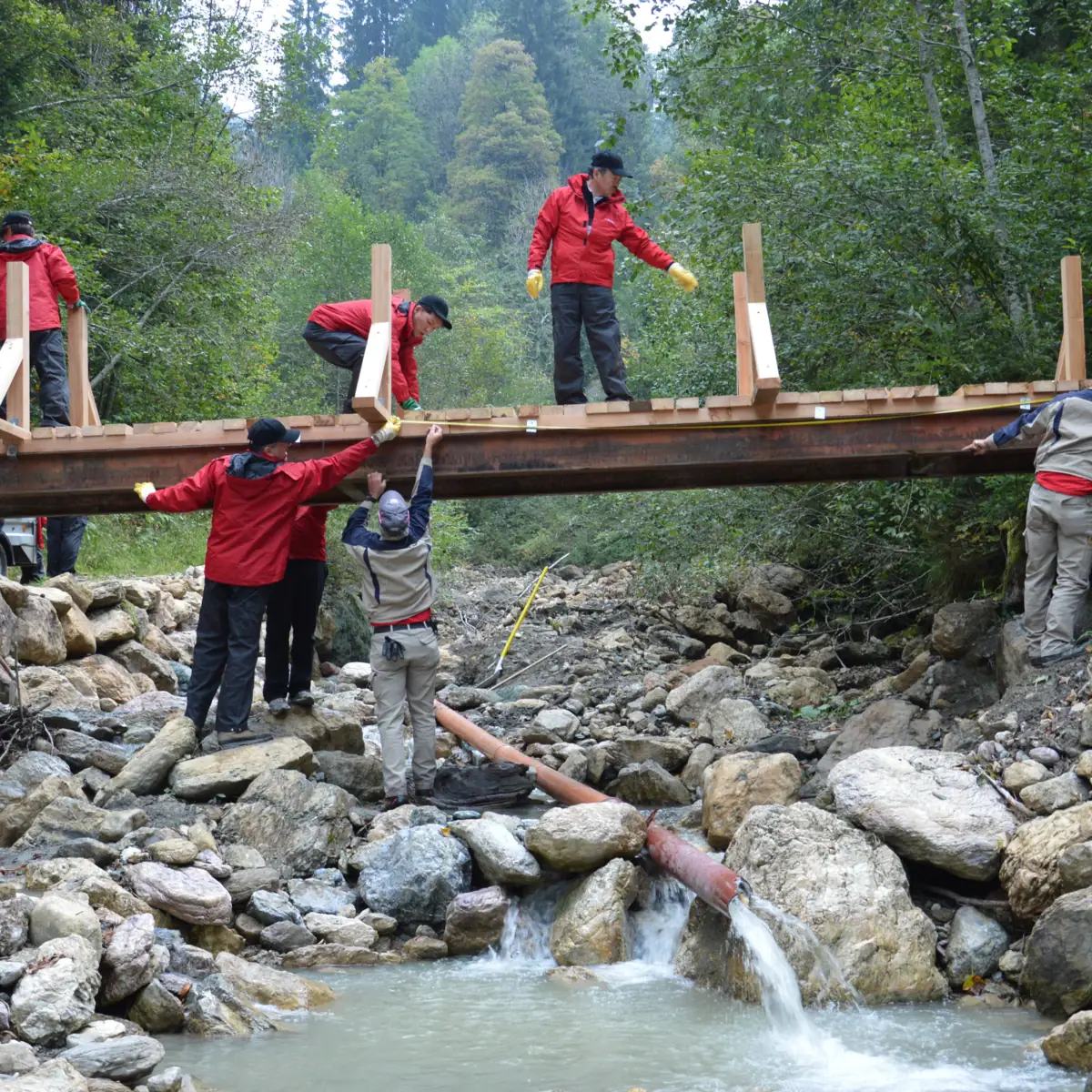 Eine Gruppe von Menschen steht auf einer Brücke über einem Bach.