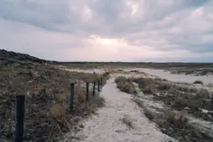 Dünen Ein Feldweg durch ein Feld unter bewölktem Himmel.