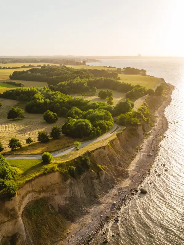 Steilküste Ostsee Luftaufnahme eines Strandes mit einer grasbewachsenen Fläche und Bäumen.