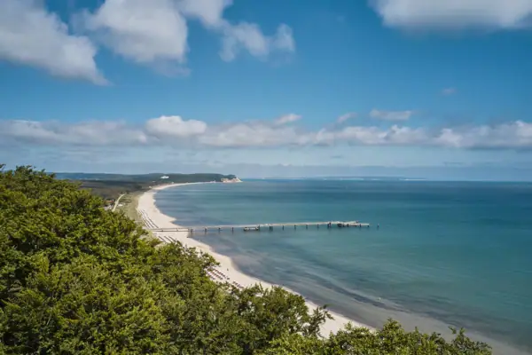 Ein Strand mit einem Pier und Bäumen.