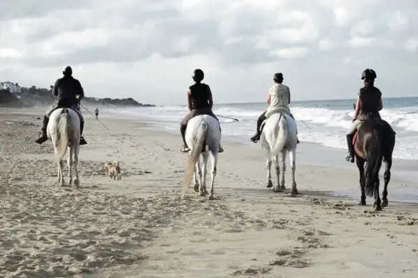Eine Gruppe von Menschen reitet auf Pferden am Strand.