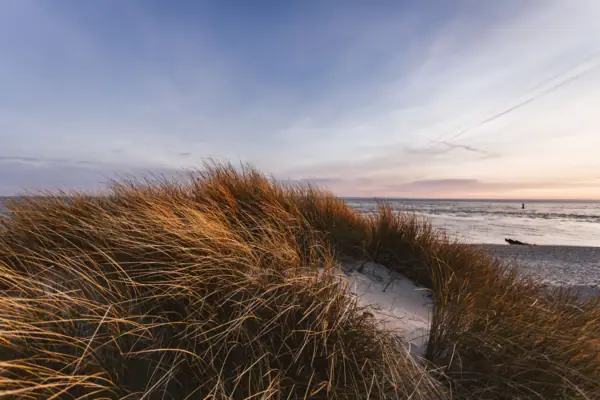 Dünen auf Sylt Eine Dünenlandschaft mit dem Meer und einem schönen Strand auf Sylt.