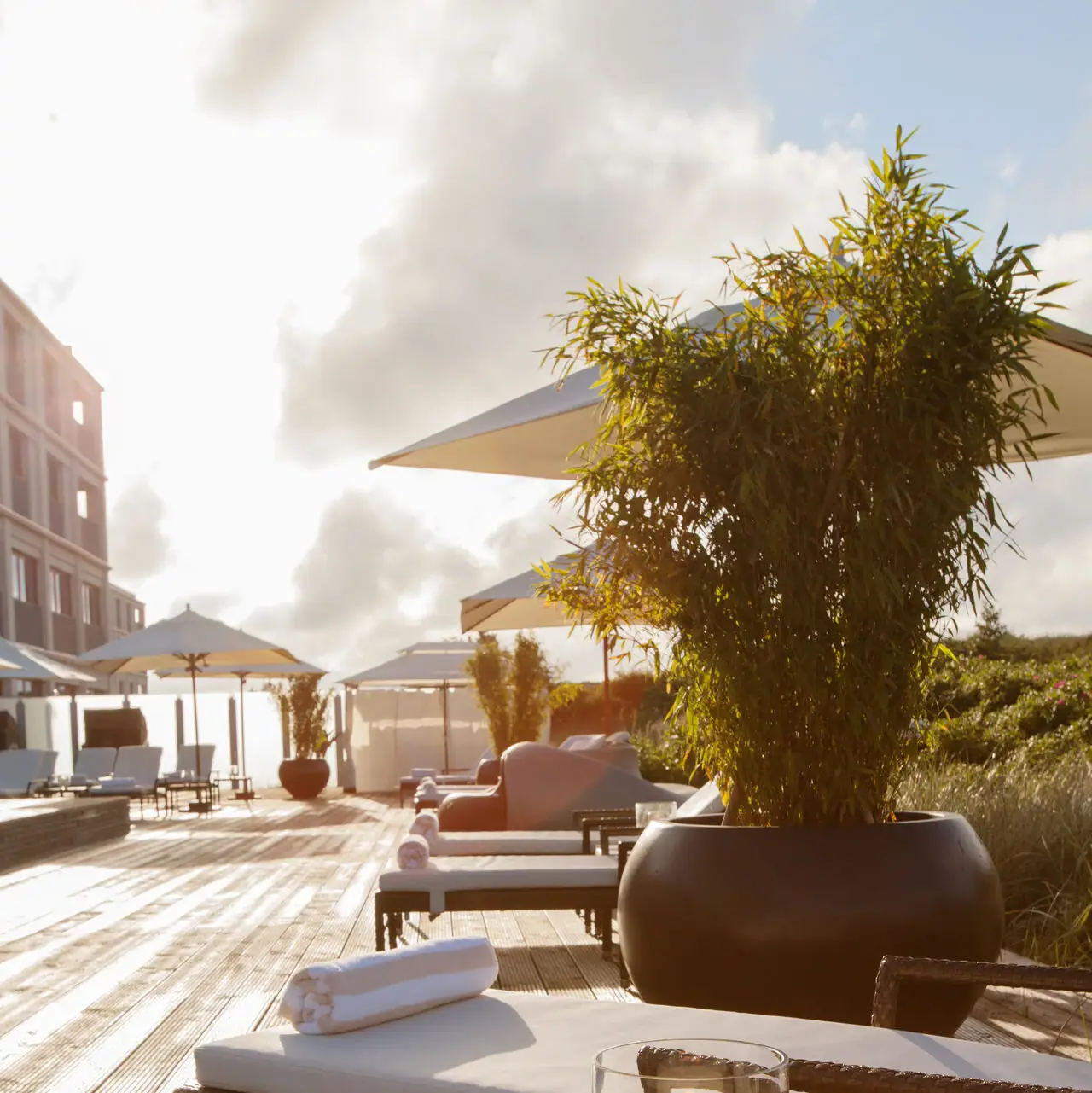 Poolterrasse auf Sylt Liegestühle und eine große Kübelpflanze auf einer Holzterrasse..
