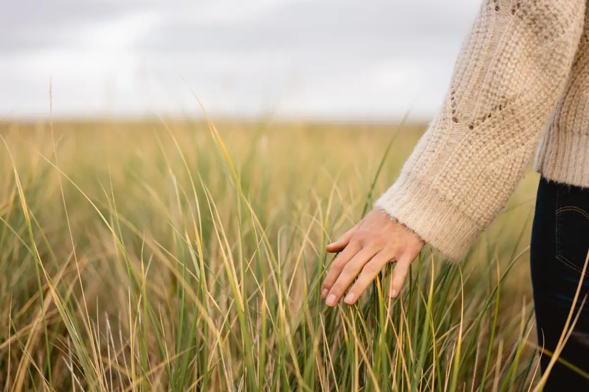 Eine Hand berührt hohes Gras im Freien.