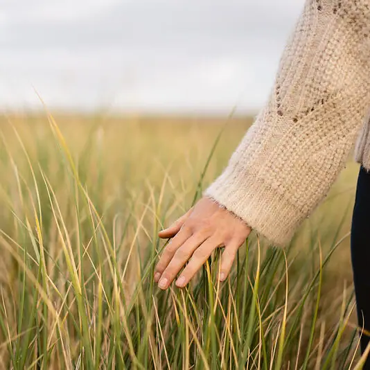 Eine Hand berührt hohes Gras im Freien.