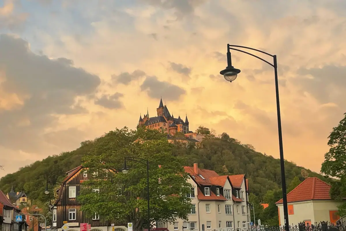 Wernigerode im Sommer Ein Gebäude auf einem Hügel mit Bäumen im Hintergrund.