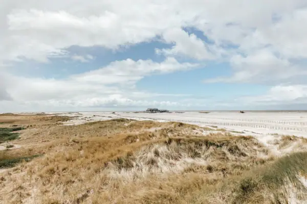 Ein Feld aus Gras mit einem Gebäude in der Ferne.