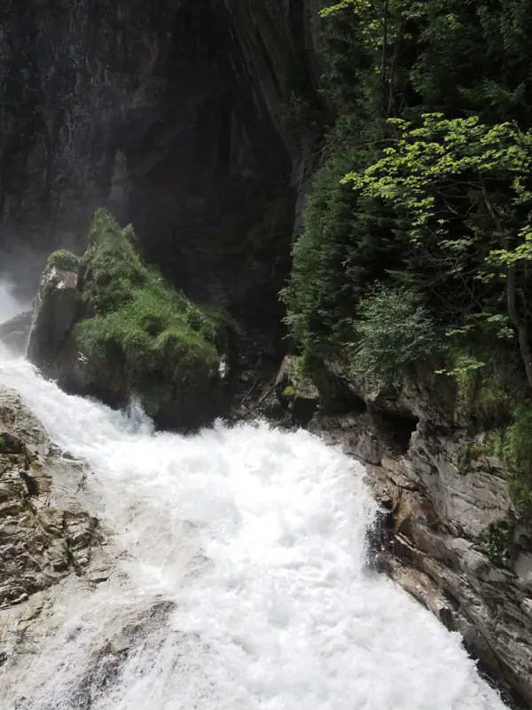 Wasserfall in einem Wald