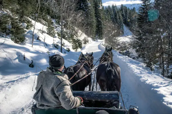 Eine Gruppe von Menschen fährt in einer Pferdekutsche durch den Schnee.