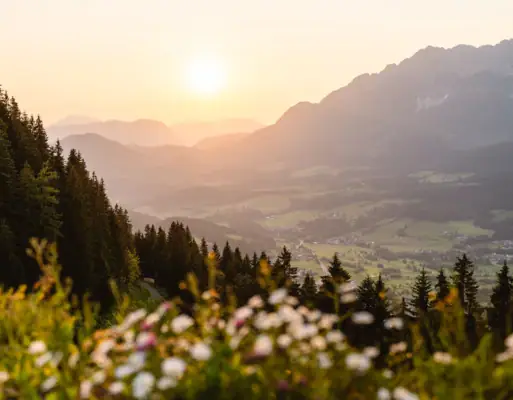 Landschaft mit Bergen und Bäumen im Freien.