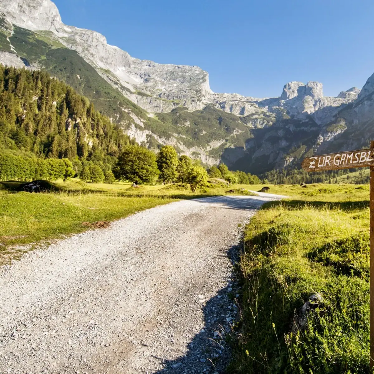 Ein Schild auf einem Feldweg in einer alpinen Landschaft.