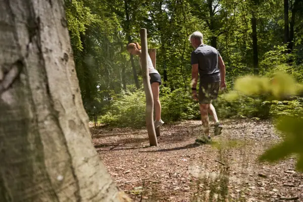 Ein Mann und eine Frau klettern auf einem Pfahl im Wald.
