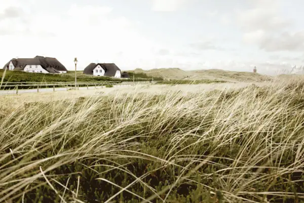 Ein Feld mit Gras und Häusern im Hintergrund.