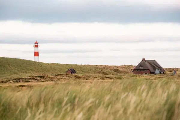 Ein Haus und ein Leuchtturm in einem Feld.