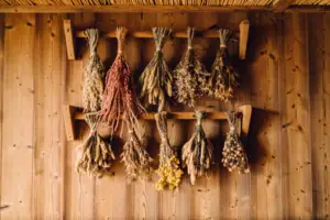 Sauna Bündel getrockneter Blumen an einer Wand