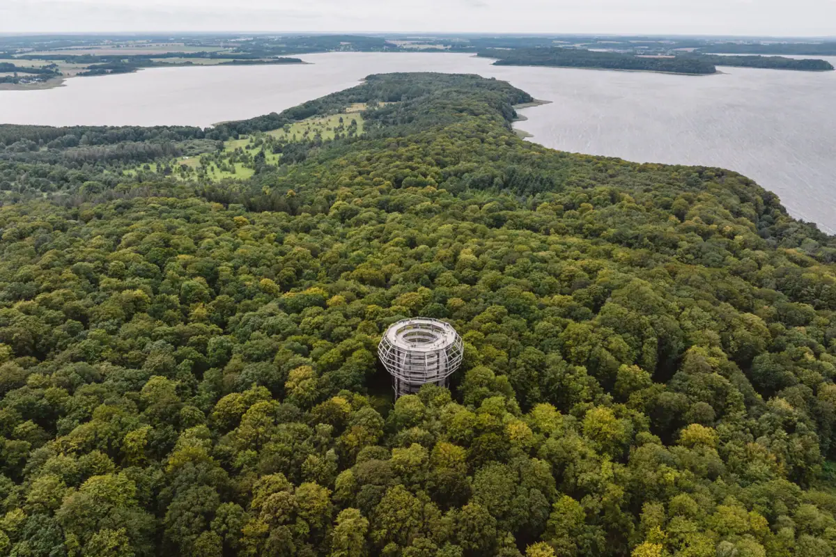 Eine große runde Struktur in einem Wald.