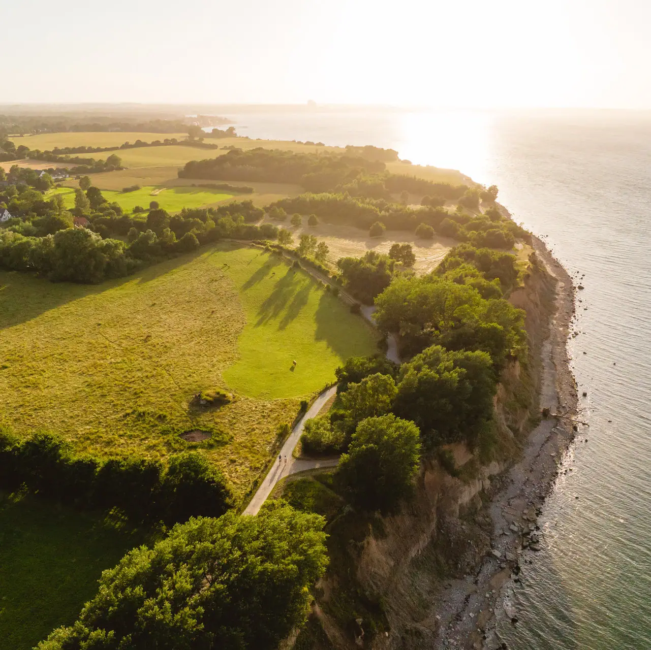 Aktivitäten in der Lübecker Bucht Luftaufnahme einer grünen Fläche mit einem Gewässer.