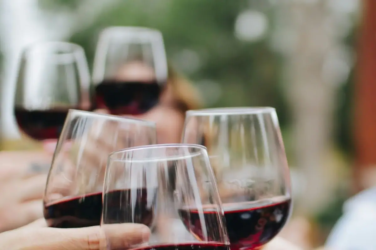 Weingläser Gardasee Eine Gruppe von Menschen hält Weingläser.